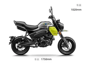 CFMoto Papio 125 XO2