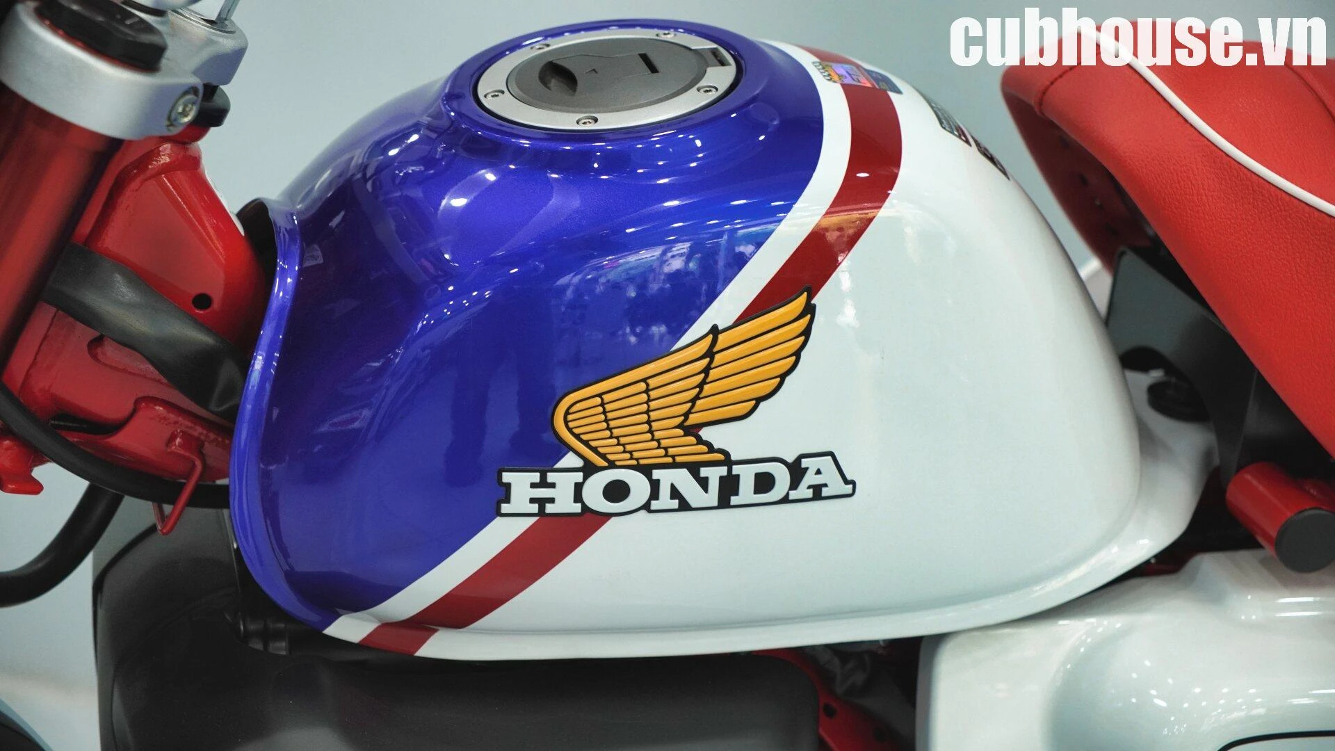 Honda Monkey FTR125 Limited Edition